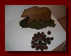 DSCN0478
